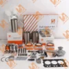 Kubota D950 Engine Overhaul Rebuild Kit from baileparts