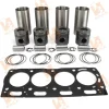 RE507758 Piston Set for 4045 John deere engine