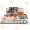 3029 Engine Piston Set RE500211