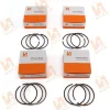 Cummins_A2300_Engine_Piston_Ring_4900738_baileparts